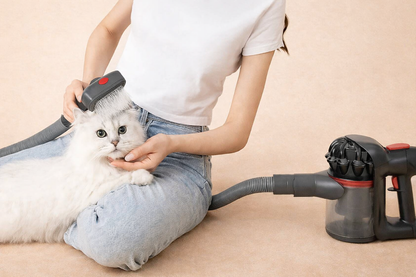 Bürstenset für Hunde & Katzen – Pro Pflege & Entfilzung | Herzpfoten